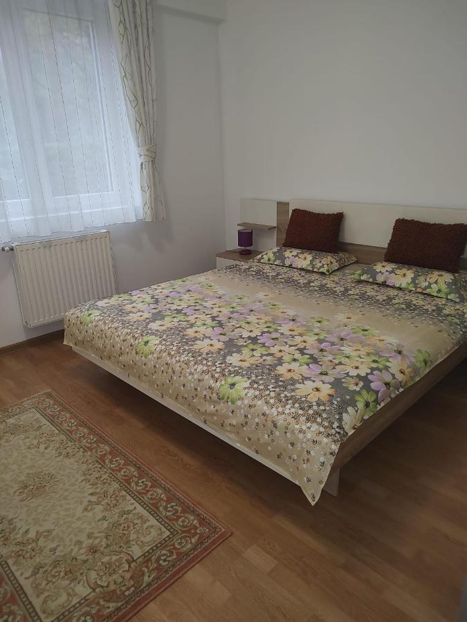 Cosy Apartment I เตอร์กู-มูเรช ภายนอก รูปภาพ